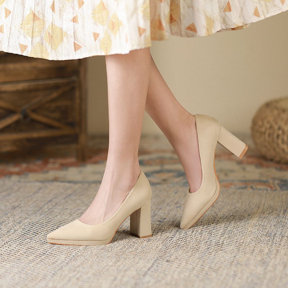 Thick Heel Pointed Shoes