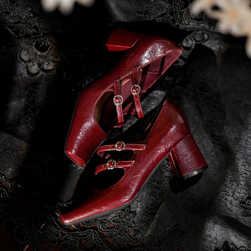 Thick Heel Mary Jane Shoes