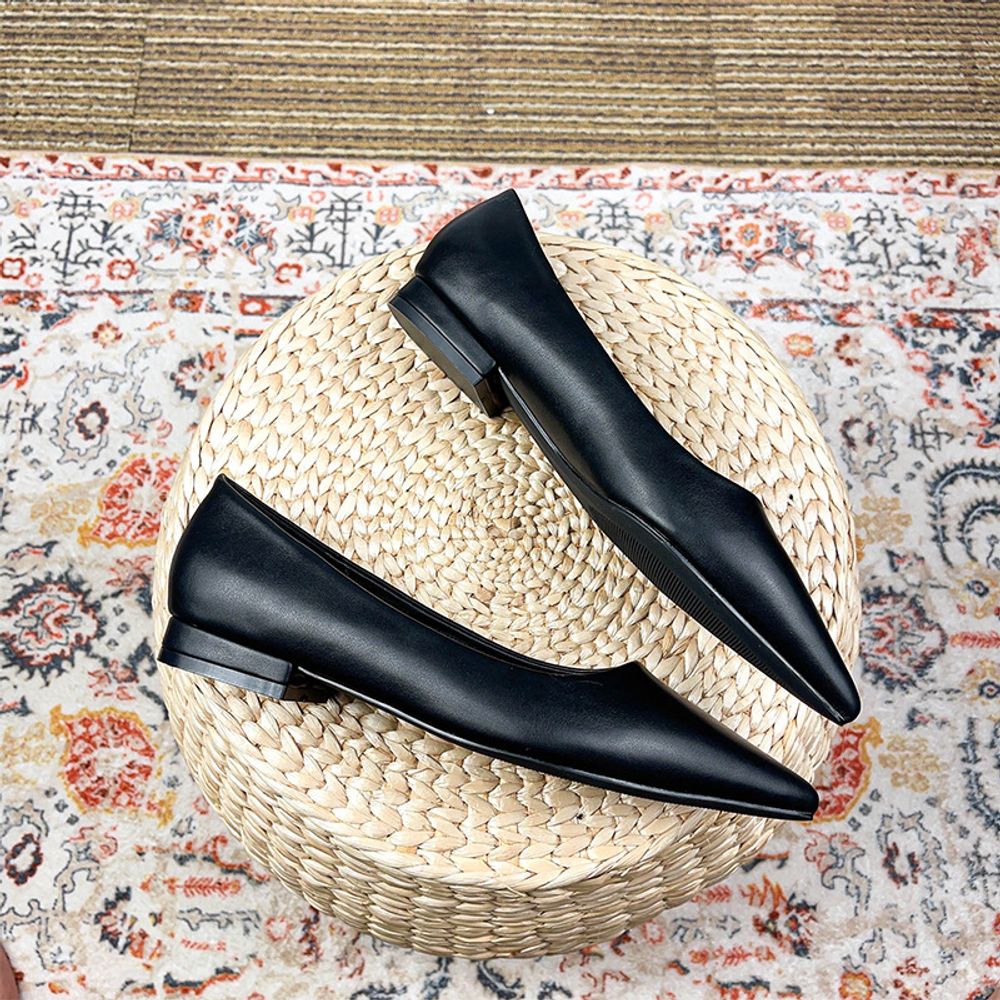 Pointed toe Flat Shoes
