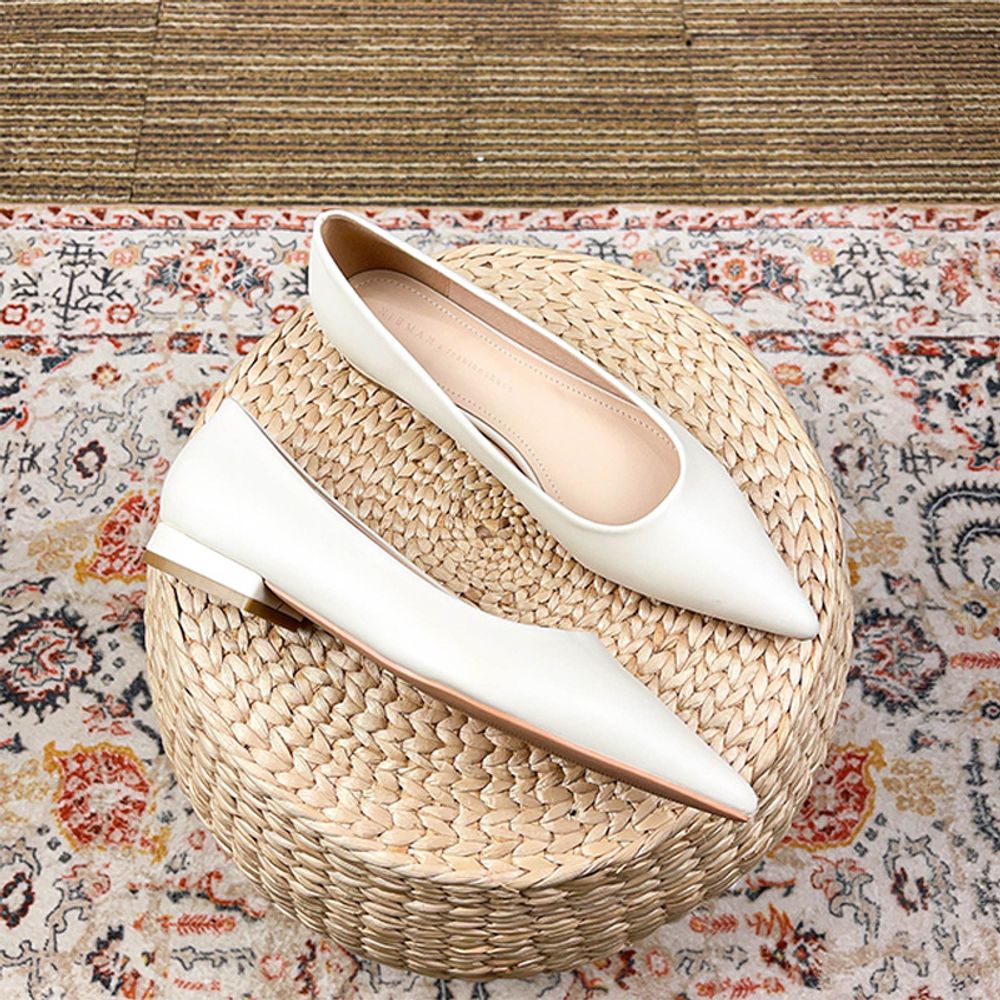 Pointed toe Flat Shoes