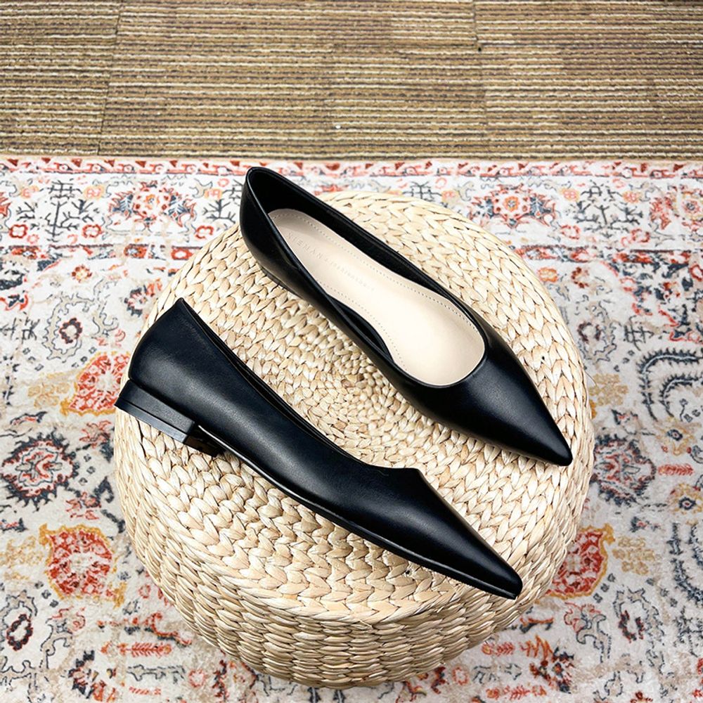 Pointed toe Flat Shoes