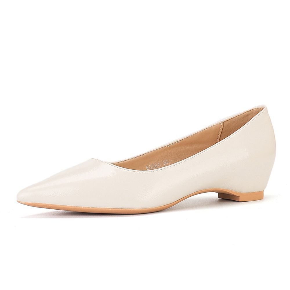 Pointed Toe Elegant Flats