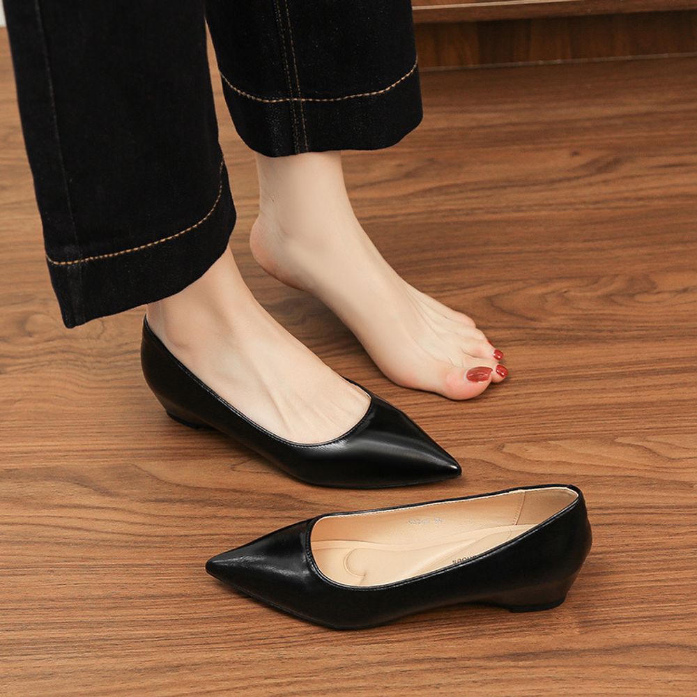 Pointed Toe Elegant Flats