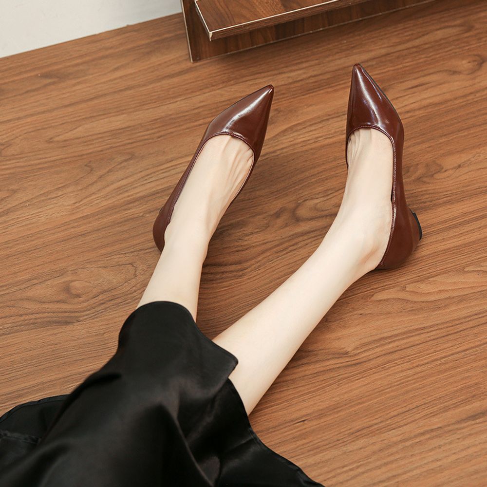 Pointed Toe Elegant Flats