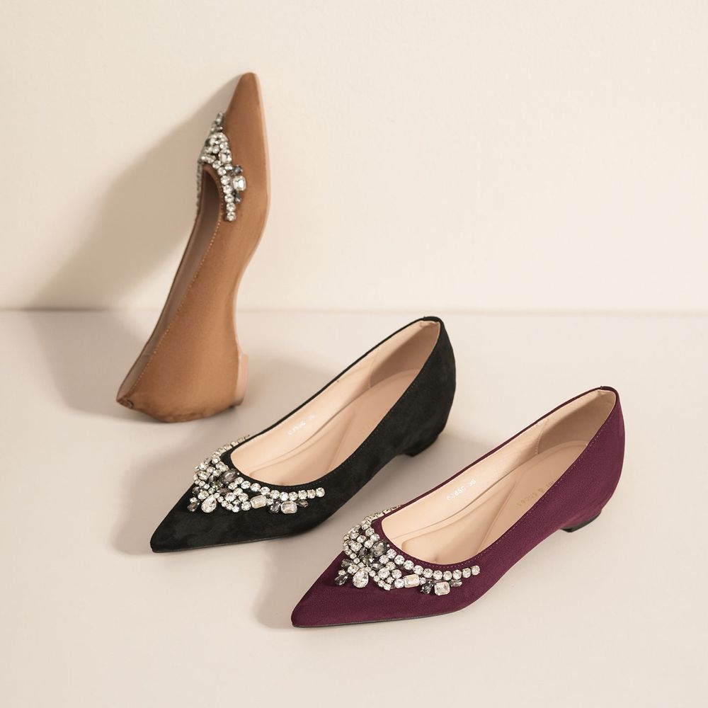 Pointed Toe Elegant Flats