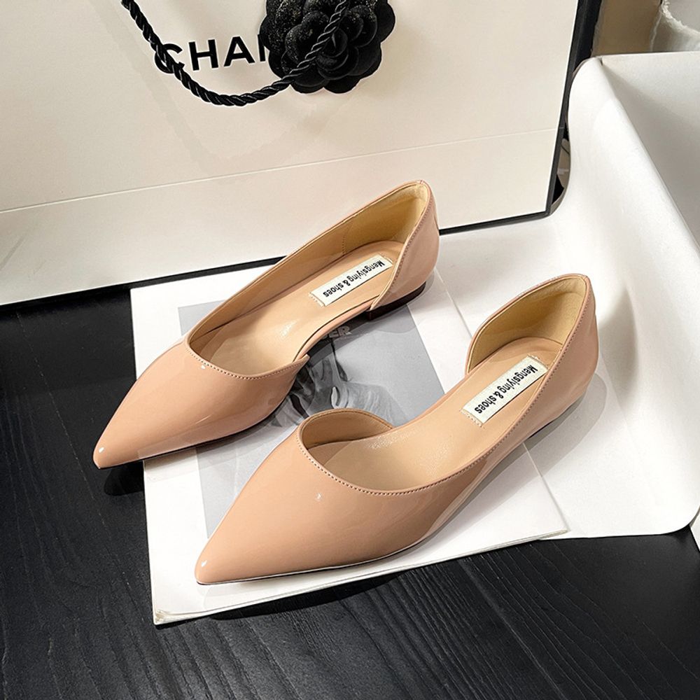 Pointed Toe Elegant Flats