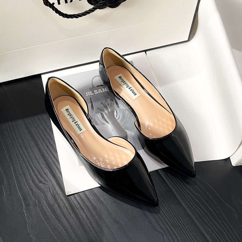 Pointed Toe Elegant Flats