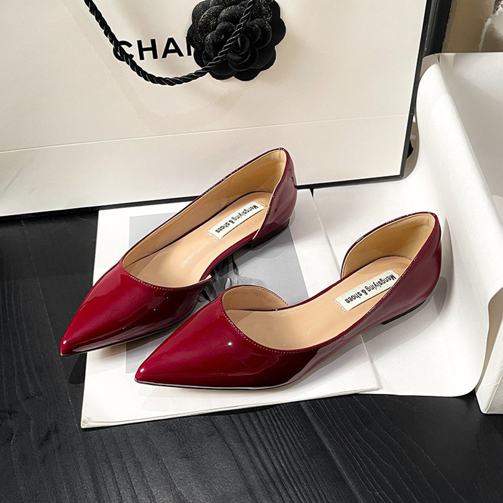 Pointed Toe Elegant Flats