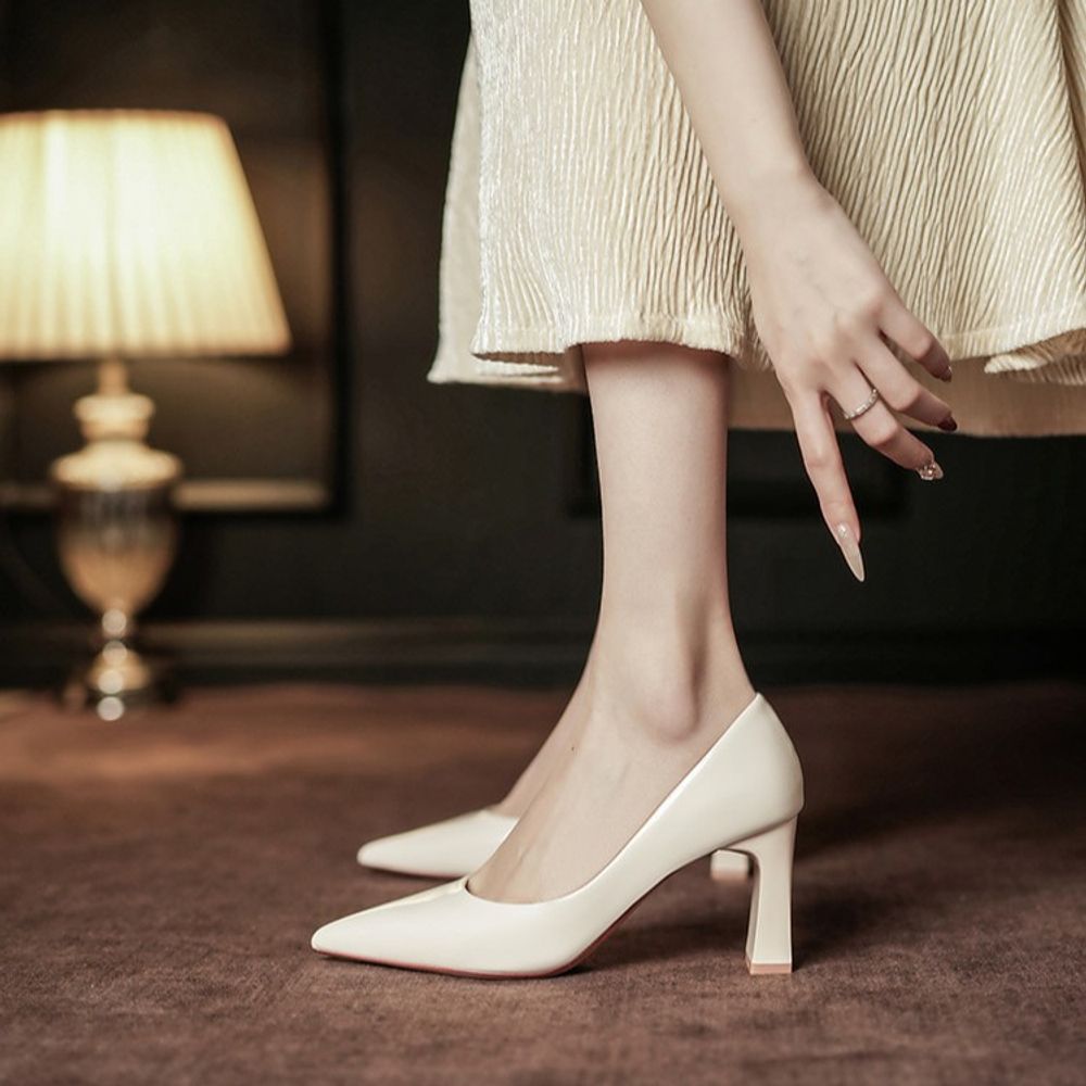 Pointed Toe Chunky Heel